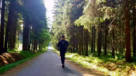 Trail-running-downhill-on-asfalt-path-in-national-park-Orlické-hory