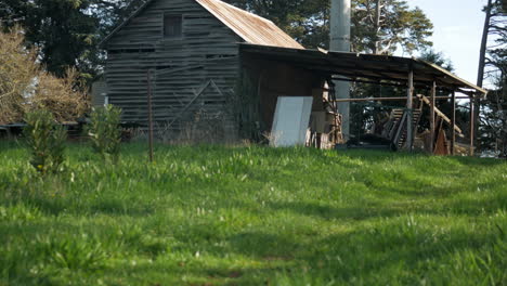 Old-run-down-wooden-shed-on-farmland