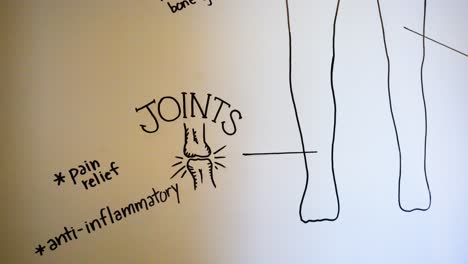 Close-up-of-CBD-benefits-diagram---Joints,-Pain-Relief,-Anti-Inflammatory