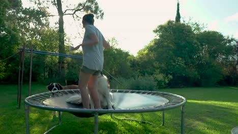 Saint-Bernard-and-Young-Girl-Woman-Jumping-on-Elastic-Bed-in-Yard