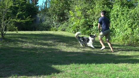 Junger-Mann,-Der-Mit-Hund-Im-Gartenhof-Ball-Spielt