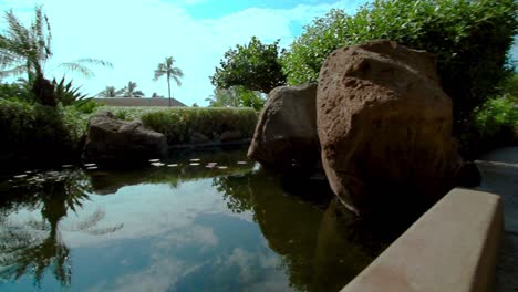 Peaceful-tranquil-park-of-Hawaiian-resort-with-ponds,-limestone-cliffs-and-tropical-plants-under-tall-palm-trees