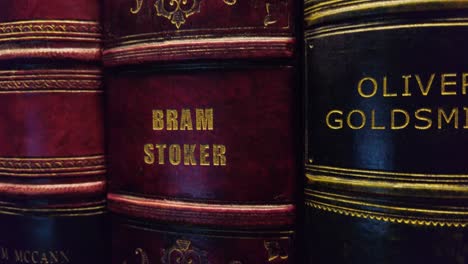 Close-up-pan-shot-over-ancient-historical-leather-covered-books