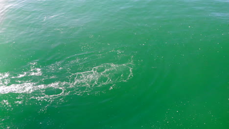 El-Surfista-Zander-Adelsohn-En-Traje-De-Neopreno-Amarillo-Atrapa-Una-Ola-En-La-Competencia-De-Surf-De-Huntington-Beach-En-El-Océano-Pacífico,-Disparado-Desde-Arriba-Con-Un-Dron-Aéreo-4k-Dji