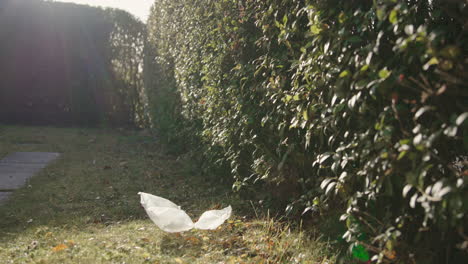 Bags-of-pressured-air-falling-down-next-to-hedge-in-garden,-backlight