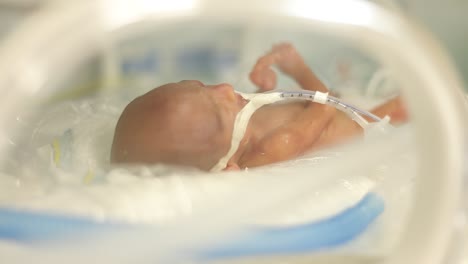 Premature-Newborn-Baby-in-the-Tub