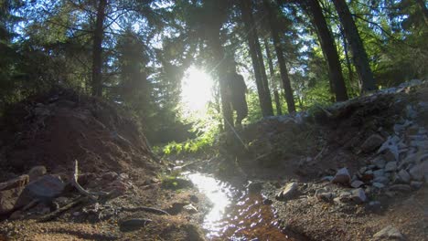 Sendero-Cuesta-Abajo-En-Cámara-Lenta-Corriendo-En-El-Parque-Nacional-Orlické-Hory