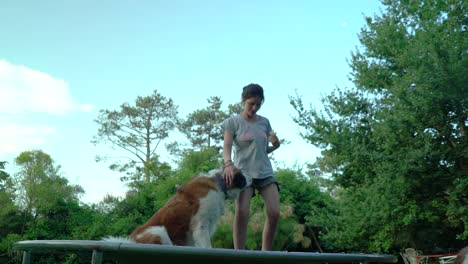 Saint-Bernard-and-Young-Girl-Woman-Jumping-on-Elastic-Bed-in-Yard,-Slow-Motion