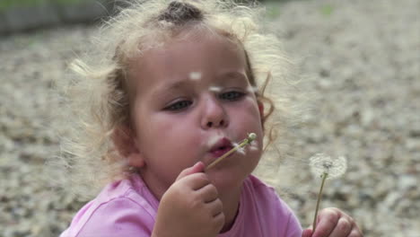 Blond-little-girl-blowing-dandelions-on-a-slow-shot