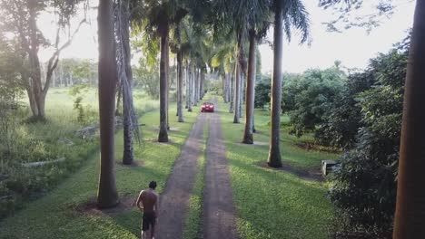 Man-Approaching-Visitor's-Car-On-The-Road-With-Green-Landscape-In-Kilauea,-Hawaii---high-angle