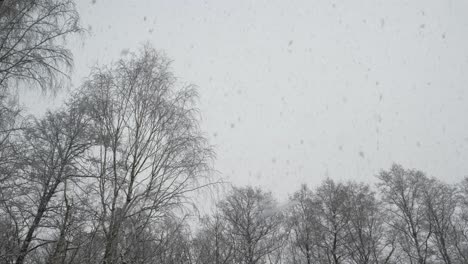 Schnee-Fällt-Vom-Himmel