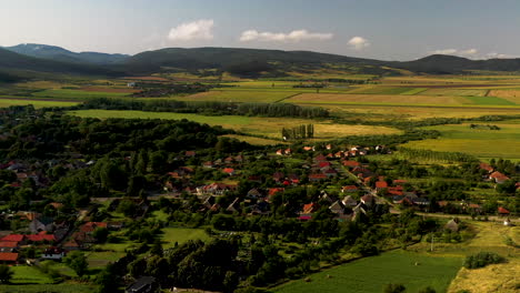 Drone-shot-of-the-town-surrounding-the-Boldogko-Castle-in-Hungary