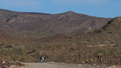 A-western-hero-character-walks-alone-down-a-dusty-road-in-a-desert-landscape-full-of-cacti-during-the-daytime