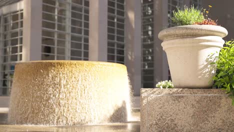 Plants-and-water-fountain-in-downtown,-120fps