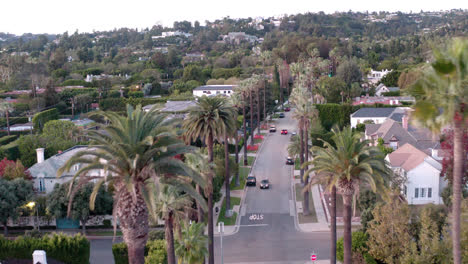 Aerial-drone-of-palm-tree-lines-street-in-Beverly-Hills-neighborhood-in-Los-Angeles-at-daylight