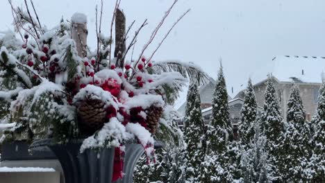 Outdoor-ornamental-winter-Christmas-decoration-in-backyard-with-white-snowflakes-falling-and-thin-layer-of-snow-everywhere-cozy---Christmas-planter-with-winter-greenery-in-pot-outdoors-covered-in-snow