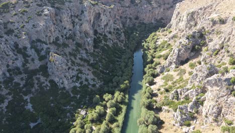 Aerial-view-of-mountain-winding-canyon-with-river-and-palms-in-Greece