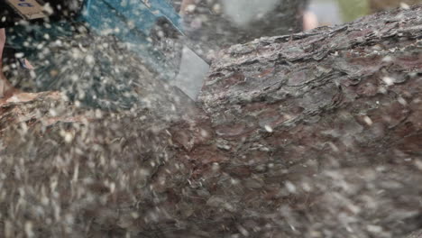 Cut-log-with-chain-saw,-slow-motion-close-up-sawdust