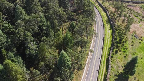 Drone-captures-the-aerial-view-of-Forest-road-in-Tlaxcala-Mexico-covered-with-thick-green-vegetation-and-multiple-tree-on-both-sides