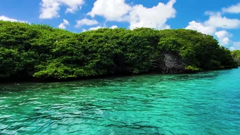 Pájaros-Bobos-Volando-Sobre-Manglares-Tropicales-Y-Agua-De-Mar-Turquesa,-Archipiélago-De-Los-Roques