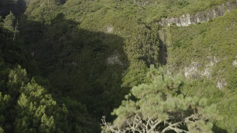 Drohnenaufnahme-Der-Landschaft-Bei-Caminho-Do-Pinaculo-E-Foldhadal-Auf-Madeira