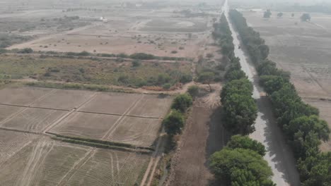Drone-capture-the-top-shot-of-car-moving-in-the-Pakistan-highway-lined-with-trees-near-Khairpur-Sindh,