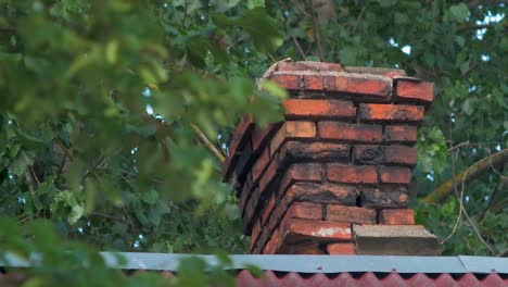 View-of-old-house-rooftop-with-clay-brick-chimney,-roof-covered-with-red-clay-tiles,-lush-green-leaves-in-the-background,-sunny-summer-day,-distant-medium-closeup-shot