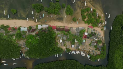 Mangrove-point-with-small-local-homes-on-tropical-island-surrounded-by-green-nature