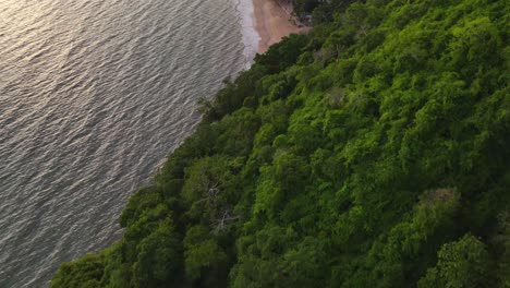 Aerial-bird's-eye-view-of-tropical-forest-along-beach-of-Ao-nang-beach-in-Krabi,-Thailand-during-evening-time