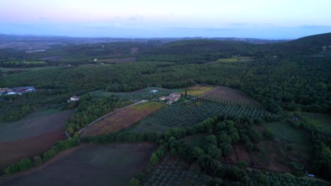 Tuscany-olive-tree-and-wine-farm-in-countryside-during-nightfall,-aerial