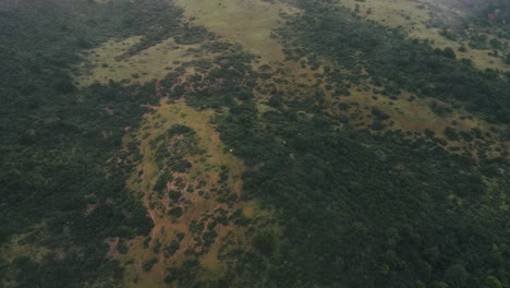 Drone-flying-from-a-cloud-reveal-of-natural-landscape,-Arizona,-USA