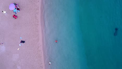 Let's-Go-to-the-beach-bath-Parasol