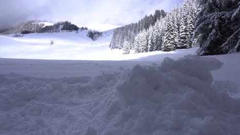 Einen-Schneehaufen-Machen,-Um-In-Den-Französischen-Alpen-Mit-Einem-Kiefernwald-Im-Hintergrund-Und-Einem-Bewölkten-Himmel-Einen-Unterschlupf-Für-Die-Nacht-Zu-Bauen