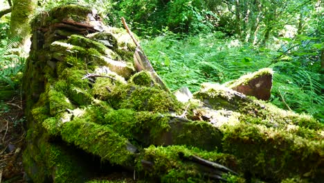 Dichtes-Moos-Bedeckt-Alte-Steinmauerruinen-In-Unheimlichen,-Verlassenen,-überwucherten-Wäldern