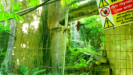 Exploring-fenced-abandoned-eerie-mining-ruins-in-dense-overgrown-woodland