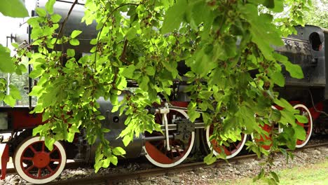 Backward-view-of-old-vintage-red-and-black-locomotive-of-steam-train-immersed-in-green-vegetation