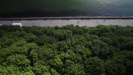 Bosque-Costero-Con-Camino-De-Terraplén