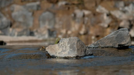 Close-up-of-stones-in-watercourse-in-sunny-day