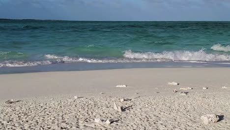 Gruppe-Seevögel-Fliegen-Am-Weißen-Sandstrand,-Malerische-Landschaft,-Los-Roques