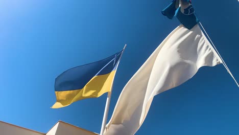 Slow-motion-shot-of-white-flag-over-ukrainian-flag,-both-flattering-in-the-wind