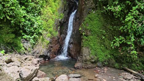 Costa-Rica-Rainforest-Waterfall-Landscape,-Tropical-Jungle-Scenery-of-Beautiful-Plants-and-a-River-at-Arenal-Volcano-National-Park,-Central-America