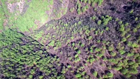 Drone-flight-over-and-around-a-church-on-a-mountain-3