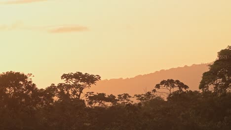 Tropical-Rainforest-Orange-Sunset-Jungle-Scenery-and-Tree-Tops,-Aerial-Elevated-View-from-Above-of-Nature-at-Arenal-Volcano-National-Park-in-Central-America