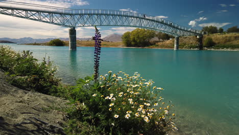 Tranquil-scene-of-famous-New-Zealand-travel-spot