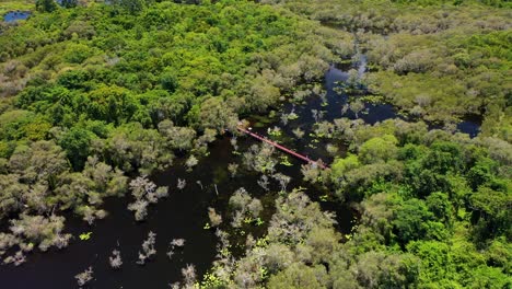 Aerial-approach-to-red-wooden-bridge-in-the-middle-of-a-lush-green-Mangrove-Forest,-Rayong,-Thailand,-dolly-down-shot