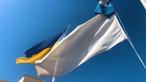 Ukraine-flag-and-white-cease-fire-flag,-one-over-the-other