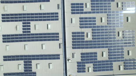 Commercial-building-rooftop-covered-in-alternative-energy-solar-panels,-aerial-top-down-view