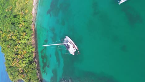 Aerial-orbit-shot-of-catamaran-anchored-on-Caribbean-Sea-at-Playa-Bonita-during-sunny-day---vertical-shot