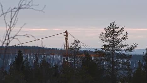 High-crane-standing-middle-of-forest