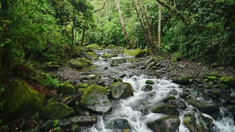 Rainforest-River-Landscape-in-Costa-Rica,-Beautiful-Nature-and-Tropical-Jungle-Scenery-with-Water-Flowing,-Savegre,-San-Gerardo-De-Dota,-Central-America